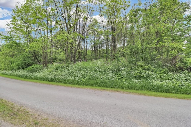 22080 Merganser Ln, Cochranton, PA 16314 - view of asphalt street