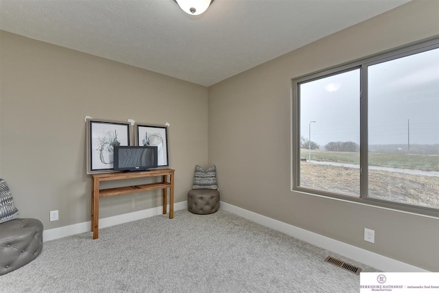 miscellaneous room featuring light carpet and a textured ceiling