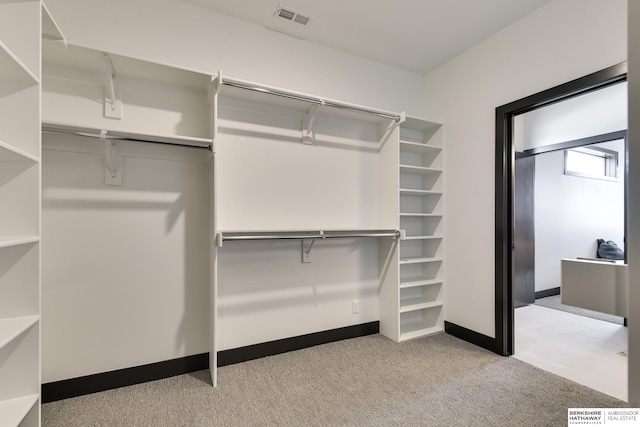 spacious closet with light colored carpet