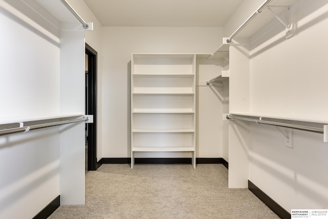 spacious closet with light carpet