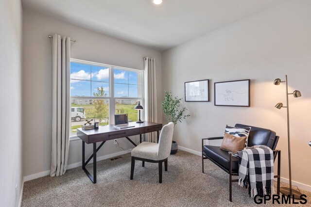 office featuring light colored carpet