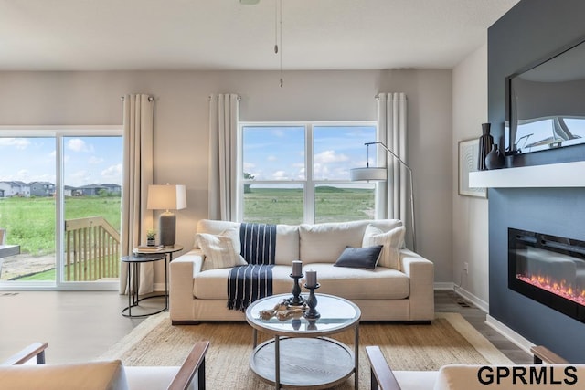 living room featuring plenty of natural light and light hardwood / wood-style floors