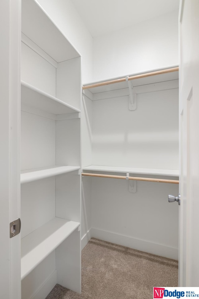 walk in closet featuring light colored carpet