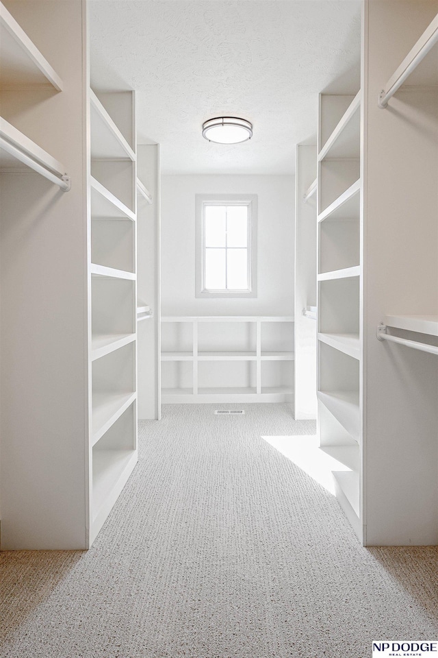 walk in closet featuring carpet flooring