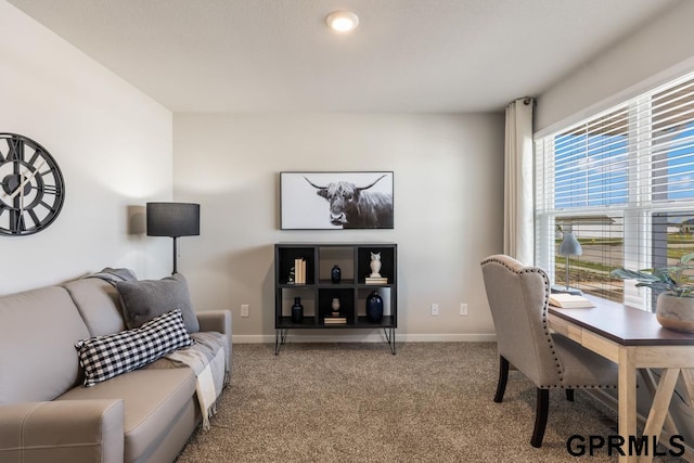 view of carpeted home office