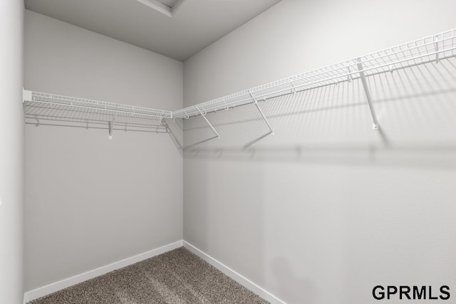 spacious closet with carpet flooring