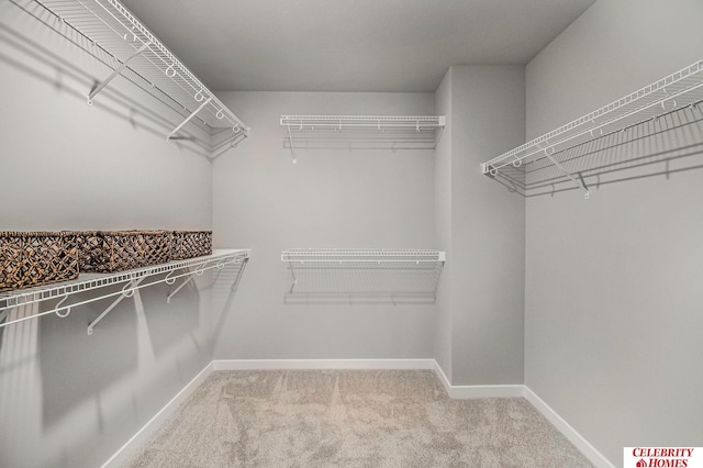 spacious closet featuring carpet flooring