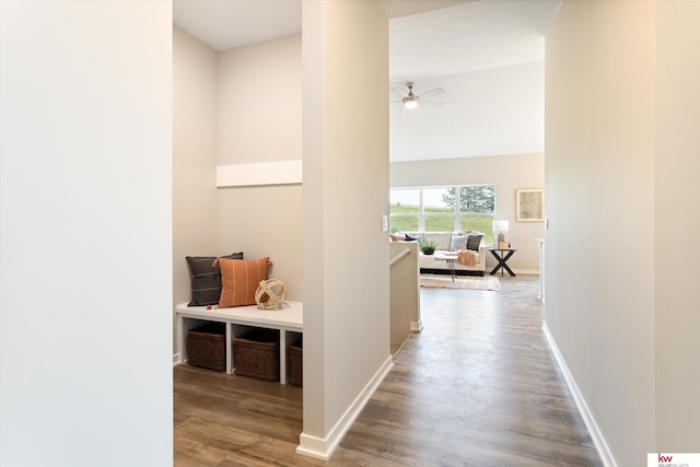 hall with hardwood / wood-style flooring