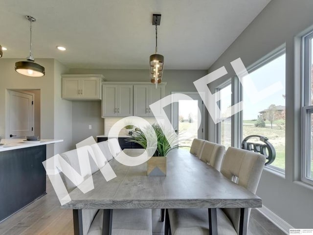 dining room with light hardwood / wood-style flooring