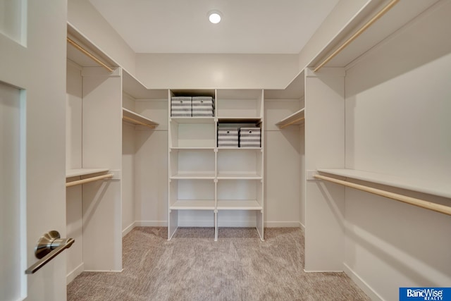 walk in closet with light colored carpet