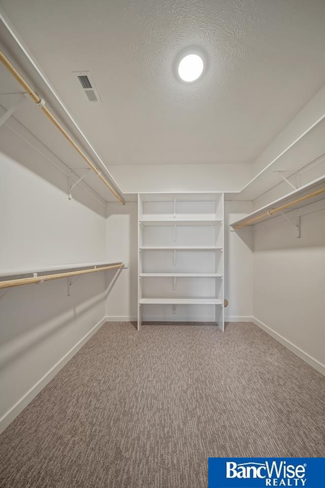 spacious closet featuring carpet floors