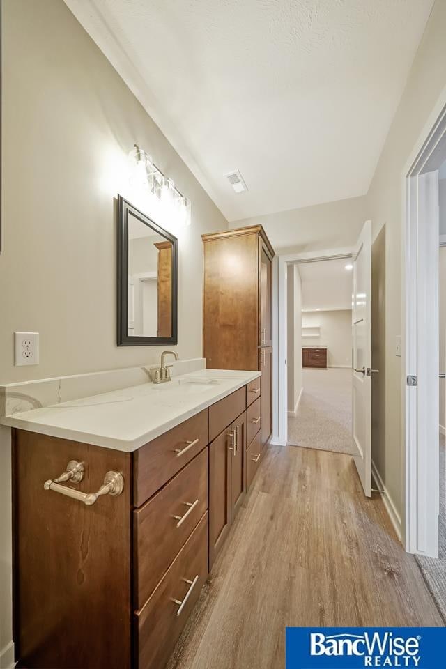 bathroom featuring hardwood / wood-style floors and vanity