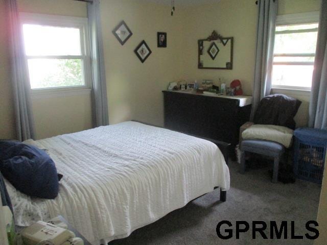 bedroom featuring multiple windows and carpet flooring