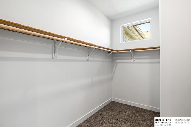 walk in closet featuring dark colored carpet