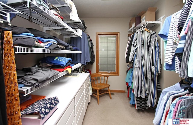 walk in closet featuring light colored carpet