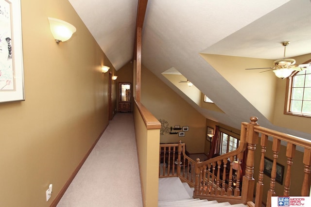 staircase with carpet flooring, lofted ceiling with beams, and ceiling fan