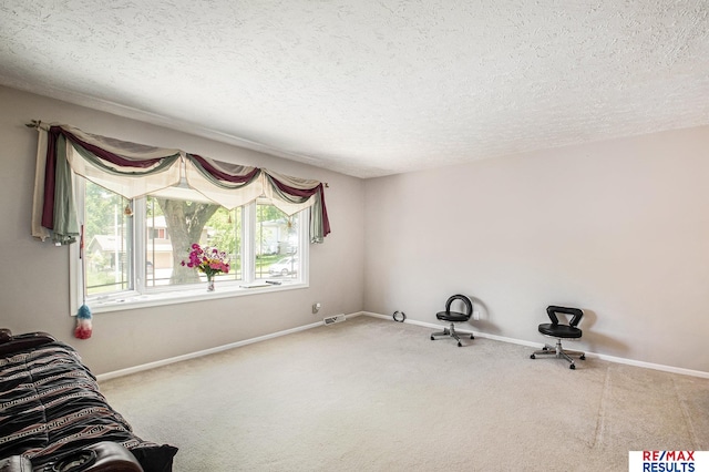 interior space with carpet and a textured ceiling