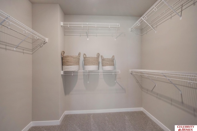 spacious closet featuring carpet floors