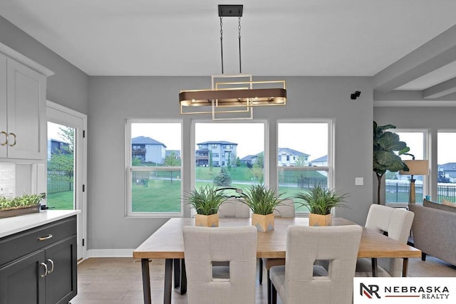 dining room featuring a healthy amount of sunlight and light hardwood / wood-style floors