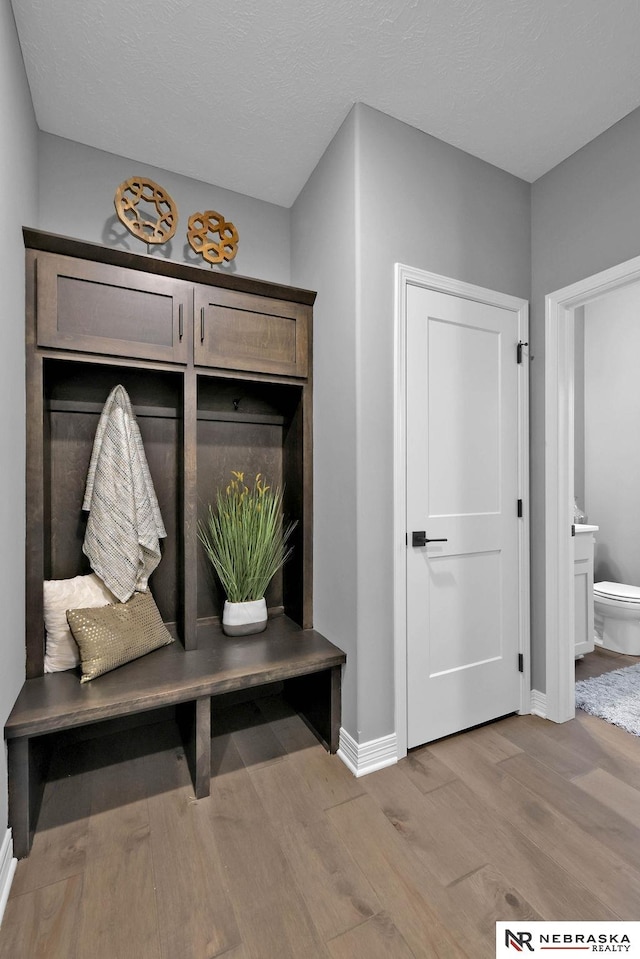 mudroom featuring light hardwood / wood-style flooring