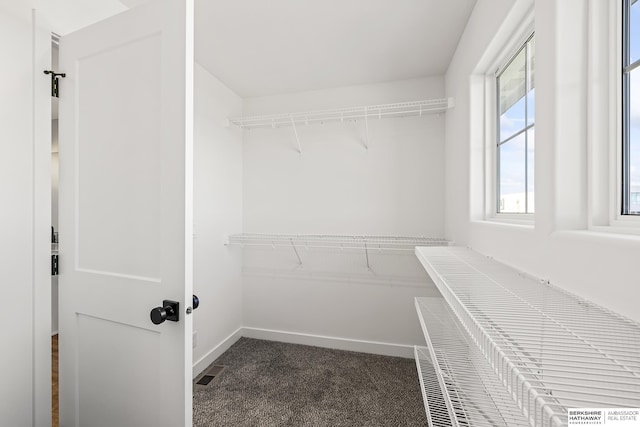 spacious closet featuring carpet floors