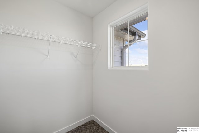 spacious closet with carpet floors