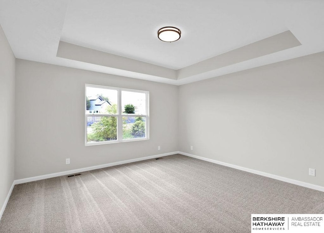 empty room with carpet floors and a raised ceiling