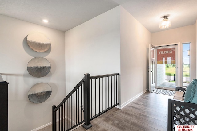 foyer with wood-type flooring