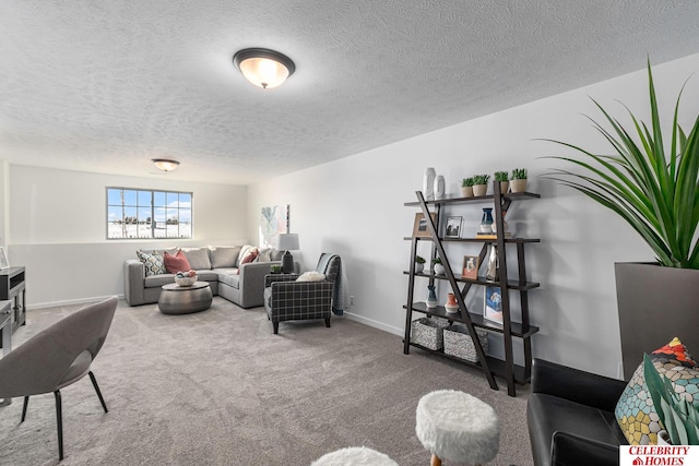 carpeted living room with a textured ceiling