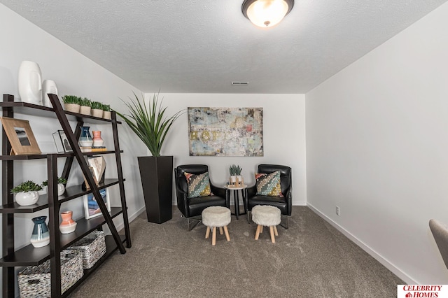 sitting room featuring a textured ceiling and carpet