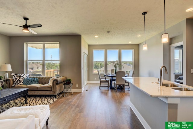 living room with plenty of natural light, sink, a textured ceiling, and dark wood-type flooring