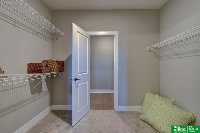 walk in closet with carpet floors