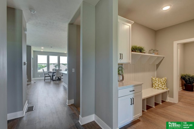 mudroom with wood-type flooring