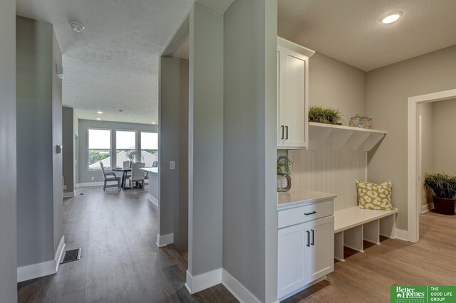 mudroom featuring hardwood / wood-style floors