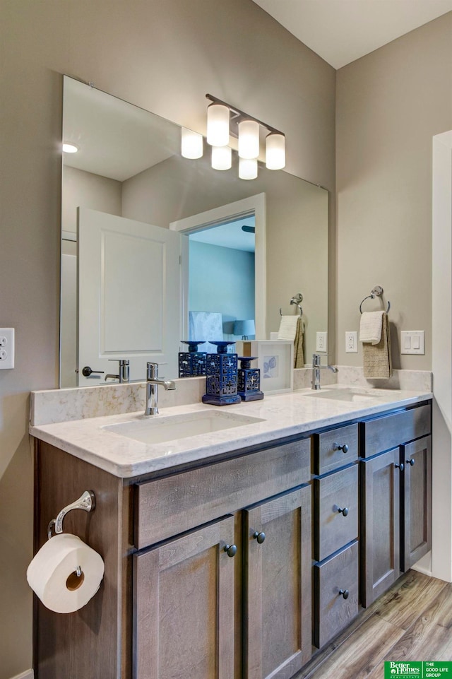 bathroom with double sink, hardwood / wood-style floors, and vanity with extensive cabinet space