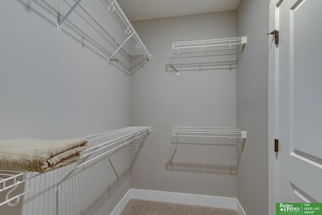 spacious closet featuring carpet flooring