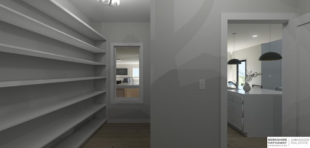 22742 Sanctuary Ridge Dr, Elkhorn, NE 68022 - view of pantry