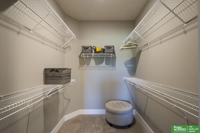 walk in closet featuring carpet