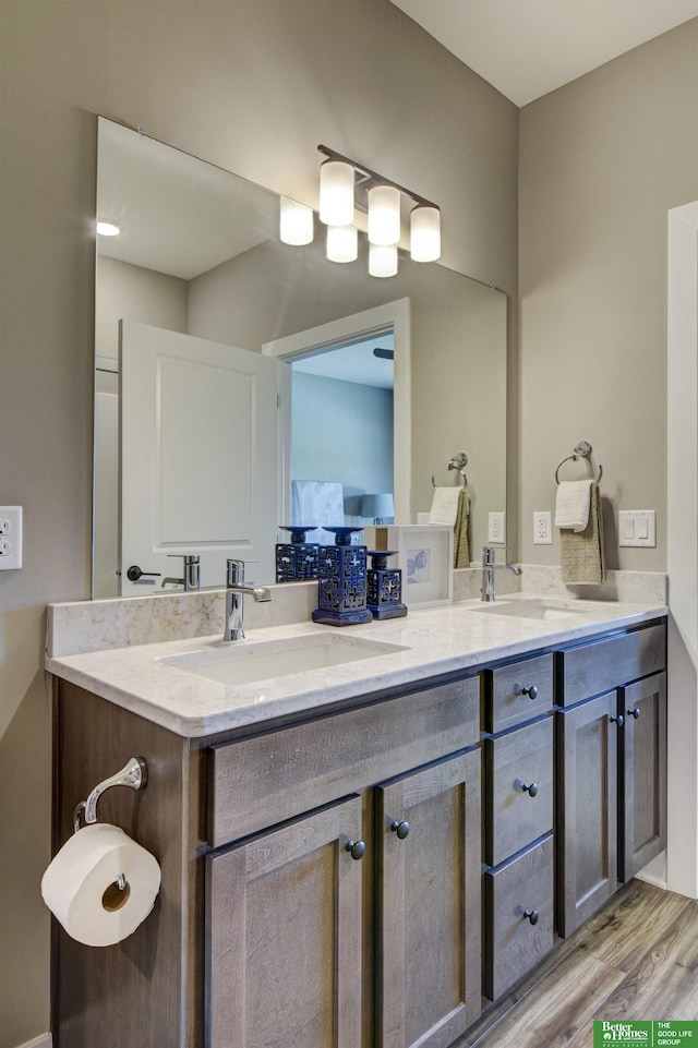 full bathroom with a sink, double vanity, and wood finished floors