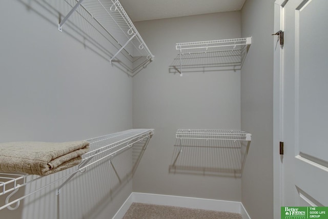 spacious closet with carpet