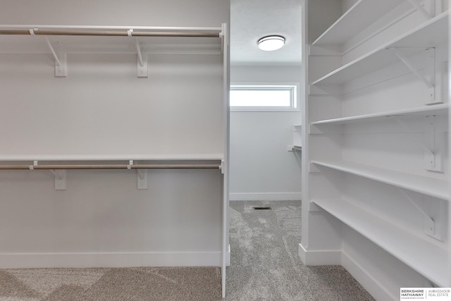 spacious closet with light colored carpet