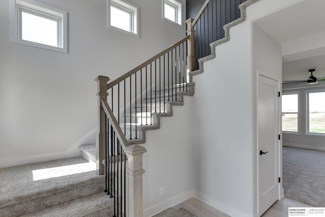 stairs featuring ceiling fan and carpet