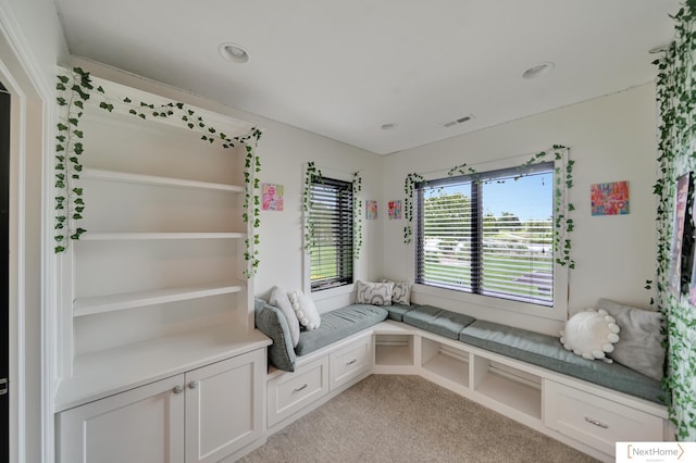 unfurnished room with light colored carpet