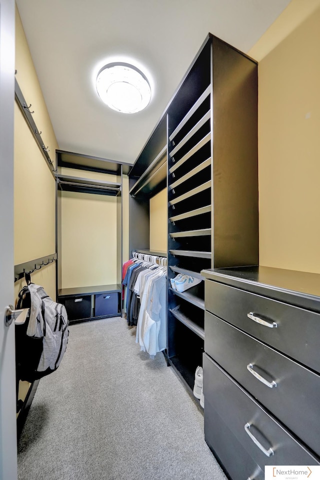 spacious closet featuring light carpet