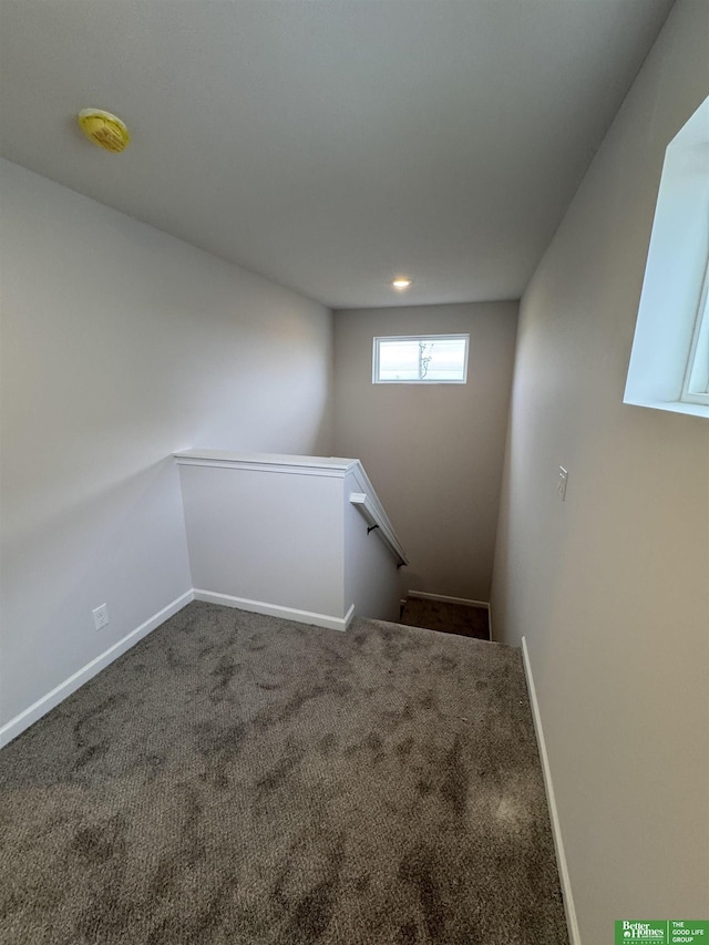 stairway with carpet flooring