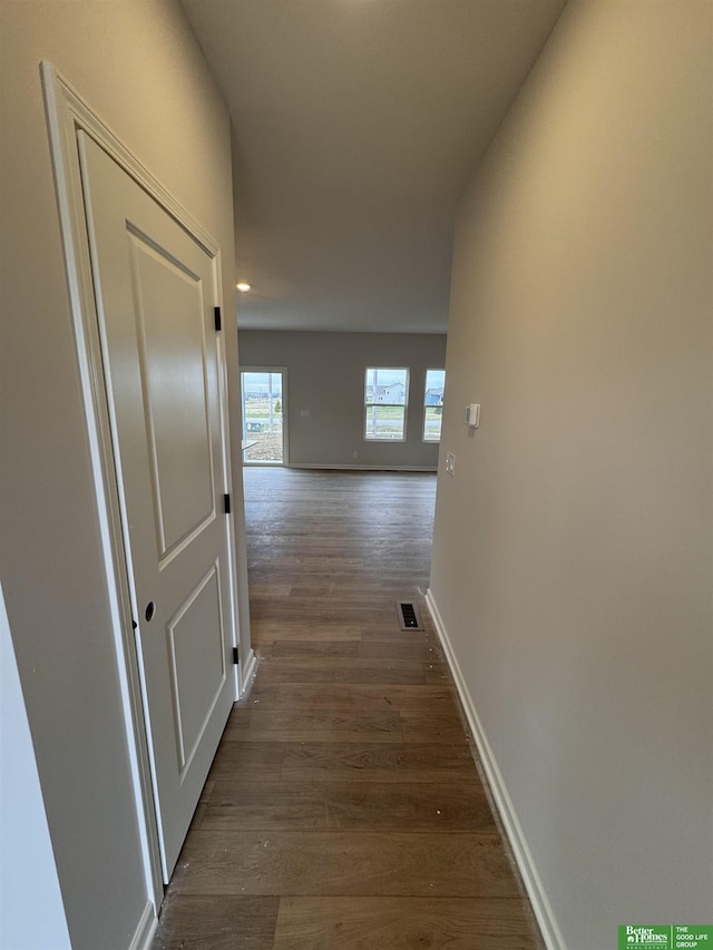 hall featuring dark wood-type flooring