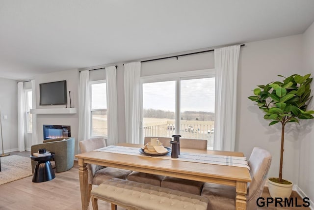 dining space with hardwood / wood-style flooring