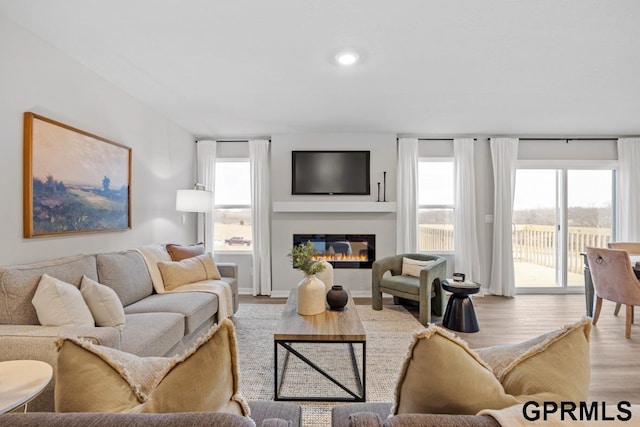 living room featuring light hardwood / wood-style floors