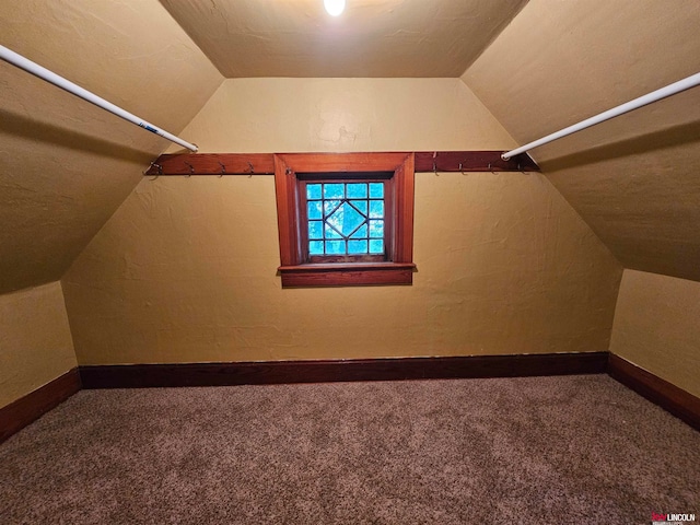 walk in closet with lofted ceiling and carpet