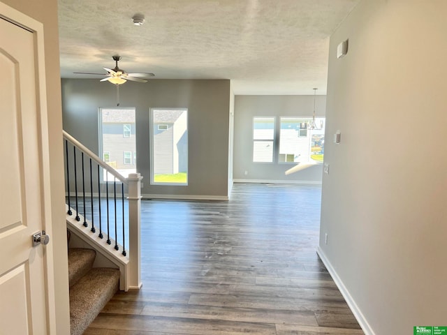 interior space featuring a wealth of natural light, a textured ceiling, and hardwood / wood-style flooring